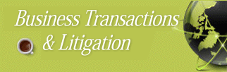 Business Transactions and Litigation Attorney in Miami, Florida.